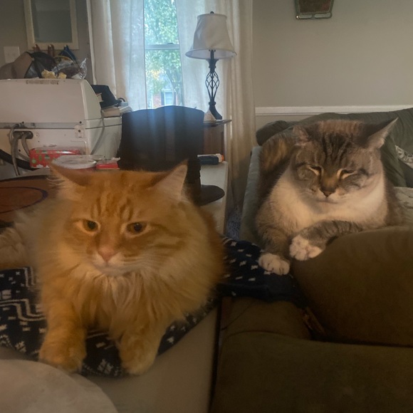 Meet your Posher, Mary - Picture 10 of 10